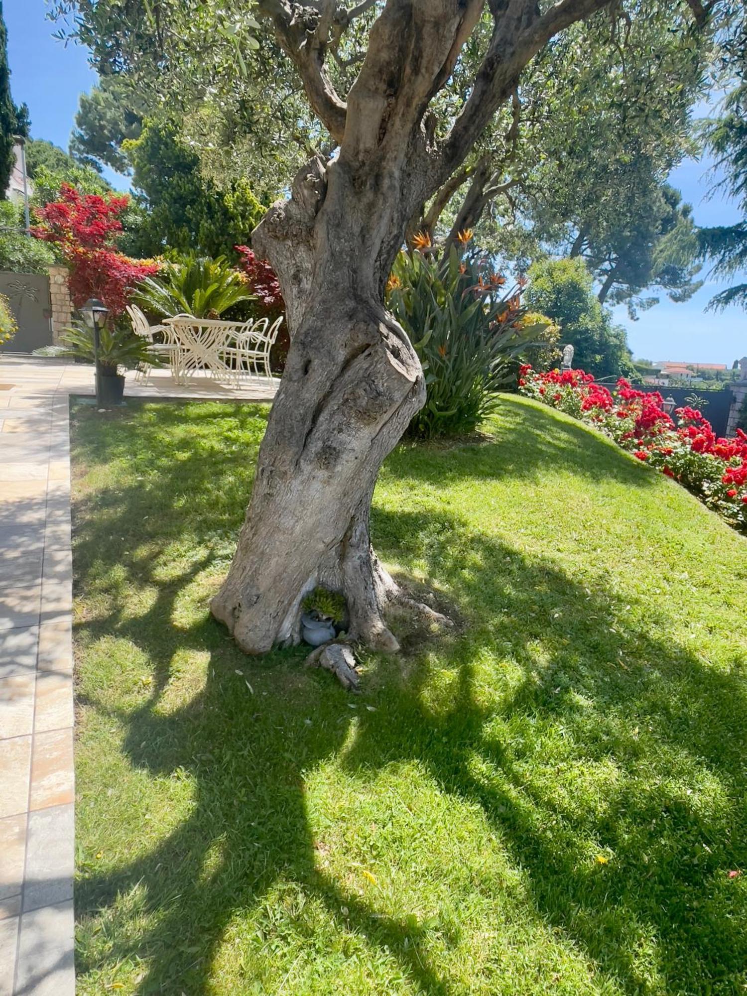 Villa Gaia - Luxury Villa, Pool & Wellness Rooms 보르디게라 외부 사진